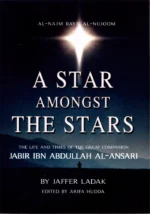A Star Amongst the Stars The life and times of the great companion